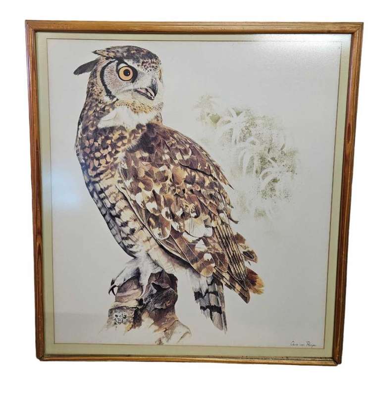Owl Print by Chris van Rooyen