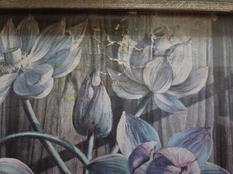 Tretchikoff: Lotuses, Double Signature print