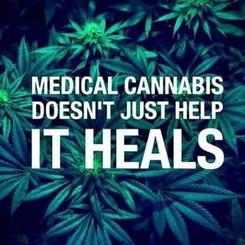 Cannabis Oil