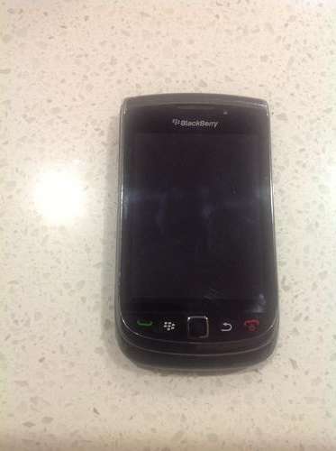 Blackberry torch
