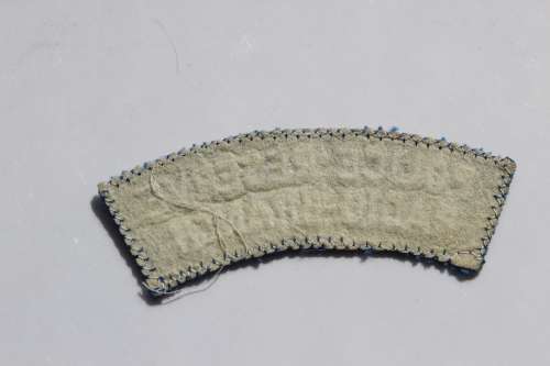 B.S.A.P. Radio Branch Sholder Flash ( C567)
