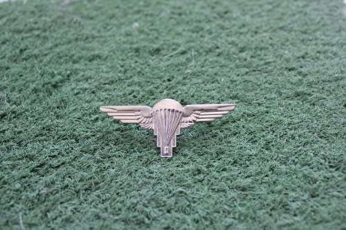 Zimbabwe Army Parachute Regiment , Qualification Wings Post 1980 with lugs