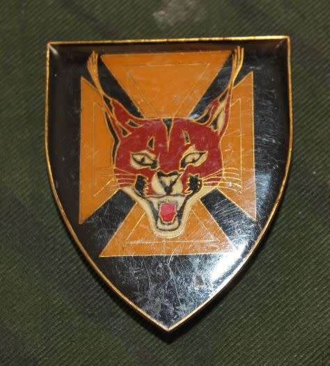 7 S.A. Infantry Battalion Shoulder Flash
