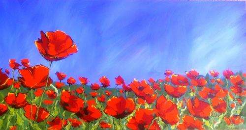 DA706 Poppyfield(2) by Annette Dannhauser 380mmx760mm