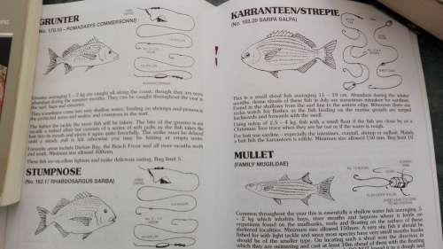3  books by Len Jones :  Anglers Atlas No 1 , Natal Coast Fishing Guide and Guide to Spearfishing