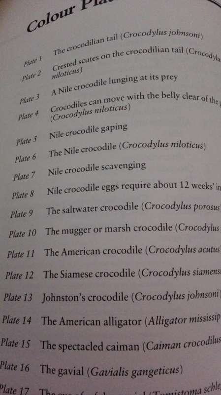 CROCODILES by RODNEY STEEL ( Remarkable Reptiles )