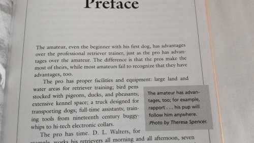 TRAINING RETRIEVERS FOR MARSHES and MEADOWS by JAMES B SPENCER