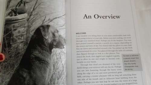 TRAINING RETRIEVERS FOR MARSHES and MEADOWS by JAMES B SPENCER