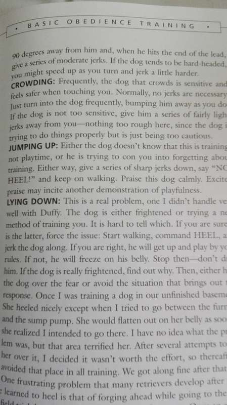 TRAINING RETRIEVERS FOR MARSHES and MEADOWS by JAMES B SPENCER