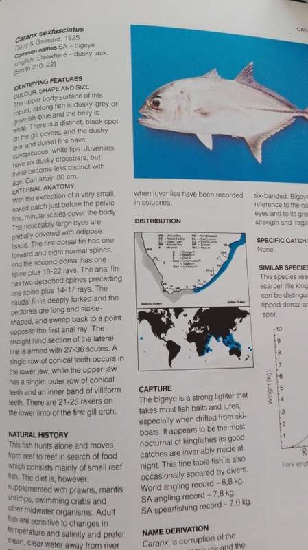 A GUIDE TO THE COMMON SEA FISHES OF SOUTHERN AFRICA BY RUDY VAN DER ELST Revised Second Edition