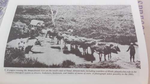 THE HLUBI CHIEFDOM IN ZULULAND NATAL A HISTORY JOHN WRIGHT AND ANDREW MANSON