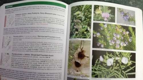 POOLEY'S TREES of Eastern South Africa A COMPLETE GUIDE RICHARD BOON