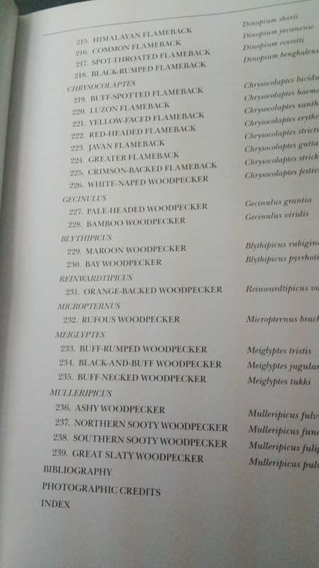 WOODPECKERS OF THE WORLD ; A Photographic Guide : GERARD GORMAN First Printing 2014