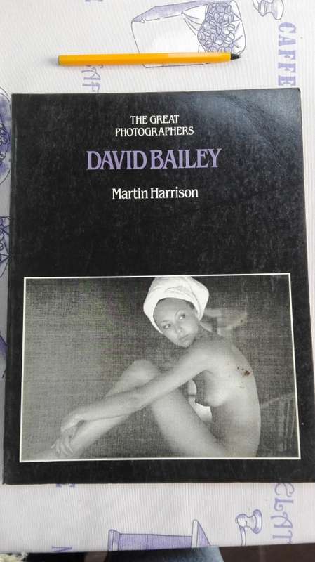 THE GREAT PHOTOGRAPHERS DAVID BAILEY by MARTIN HARRISON
