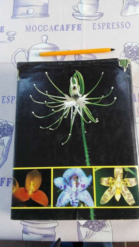 WILD ORCHIDS OF SOUTHERN AFRICA JOYCE STEWART and Others