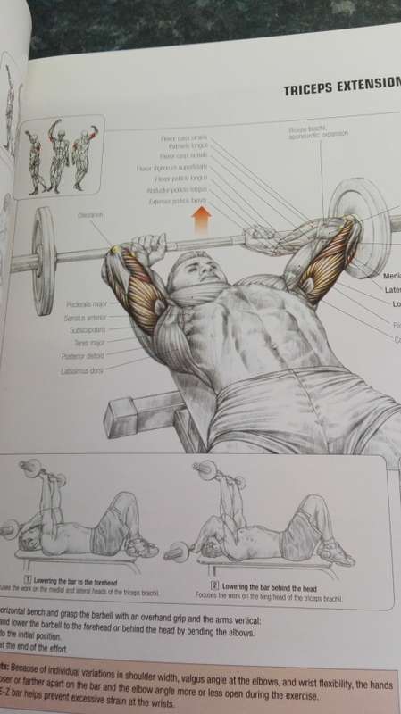 STRENGTH TRAINING ANATOMY FREDERIC DELAVIER Second Edition