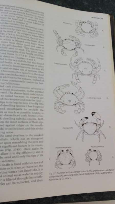 The Living Shores of Southern Africa by Margo & George Branch