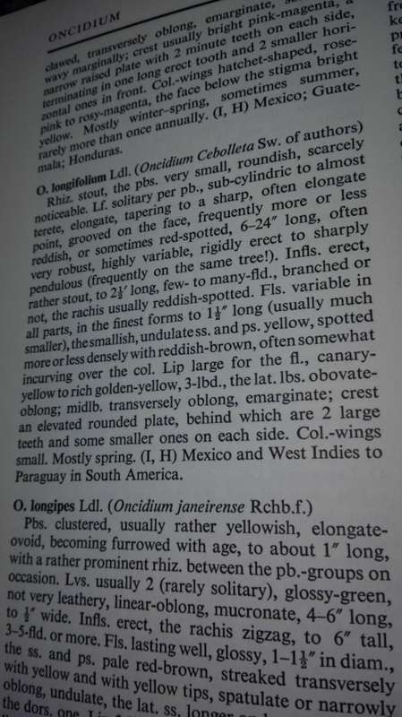ENCYCLOPAEDIA OF CULTIVATED ORCHIDS ALEX D HAWKES