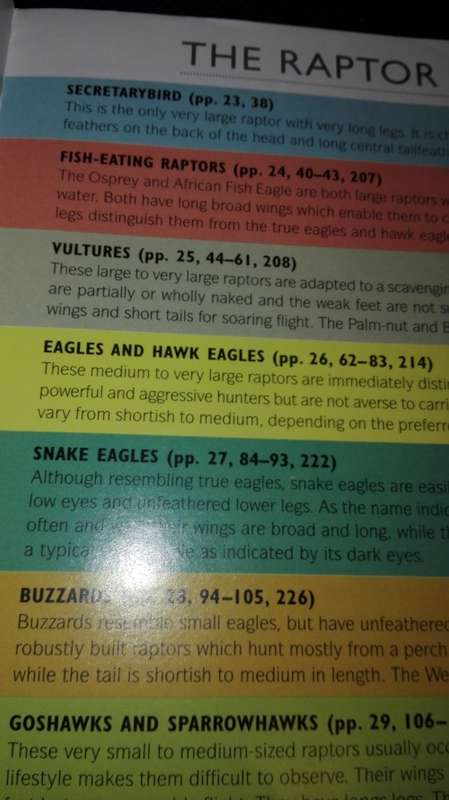 RAPTOR IDENTIFICATION GUIDE FOR SOUTHERN AFRICA ULRICH OBERPRIELER  ( SAPPI )