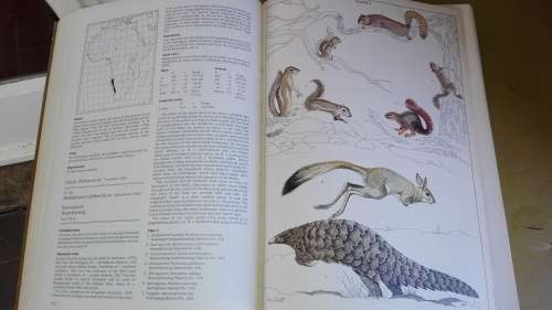 THE MAMMALS OF THE SOUTHERN AFRICAN SUBREGION BY REAY H N SMITHERS First Edition 1983
