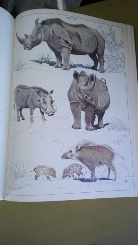 THE MAMMALS OF THE SOUTHERN AFRICAN SUBREGION BY REAY H N SMITHERS First Edition 1983