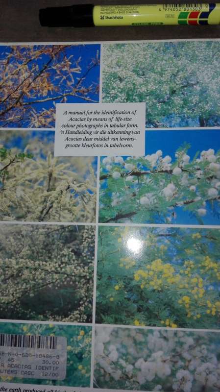 3 X Marthius Steyn Tree Identification Guide  ;  Acacias ; S A Ficus ; S A Com, plus 1 Item For YVES