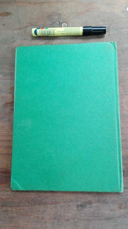 AMELIARANNE and the GREEN UNBRELLA told by Constance Heward