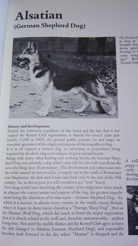 THE WORLD ENCYCLOPEDIA OF DOGS , Over 280 Breeds Fully Described Arthur F Jones and Ferelith Hamil