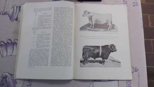 2 Books A History of the Royal Agricultural Society of Natal plus Natal`s Royal Show Ruth Gordon