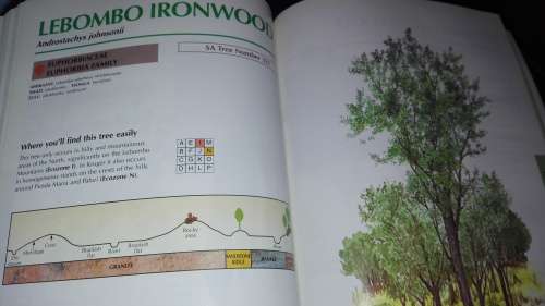 SAPPI TREE SPOTTING  LOWVELD  Tree Identification Made Easy Jacana ( signed by Illustrator )   )