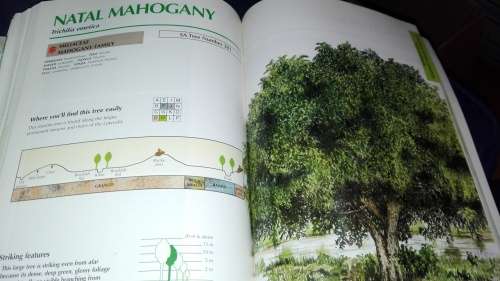 SAPPI TREE SPOTTING  LOWVELD  Tree Identification Made Easy Jacana ( signed by Illustrator )   )