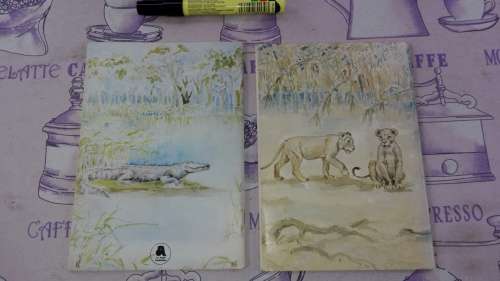 2 Books , IAN PLAYER'S VOICE FROM THE WILDERNESS  plus MORE FROM THE WILDERNESS
