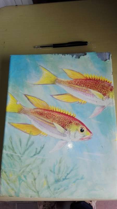 SMITH'S SEA FISHES Professor J L B SMITH Reprint of an Enlarged Edition 1977  ( Fish )