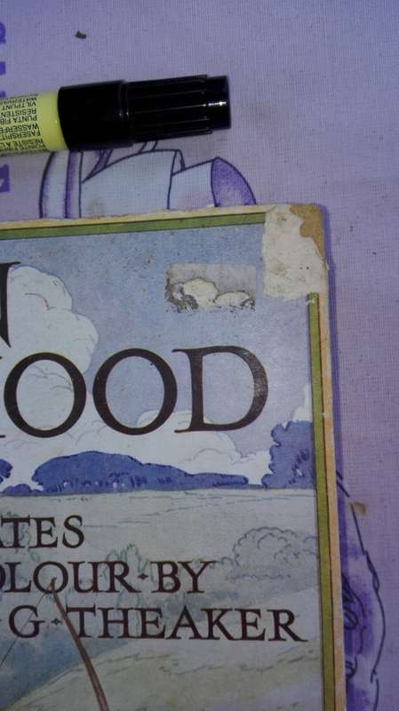 ROBIN HOOD BY HARRY G THEAKER 24 Colour Plates around 1934  Vintage Classic