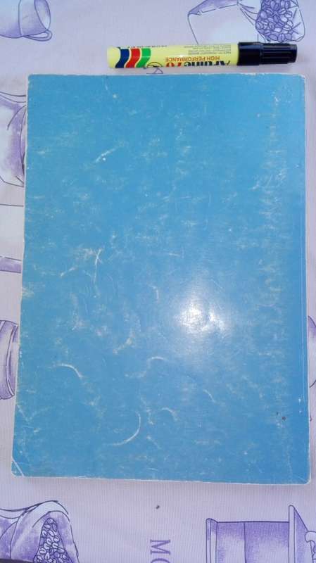 BEEKEEPING in SOUTH AFRICA by R H ANDERSON B BUYS & M F JOHANNSMEIER ( Condition ; Fair )
