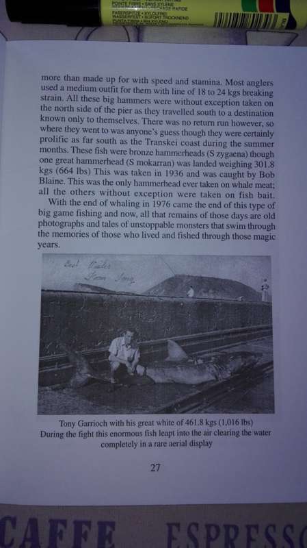 ENCOUNTERS WITH SHARKS DOLPHINS amd FISH written and illustrated by LEN JONES (fishing )