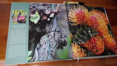 THE WINE KINGDOM Celebrating conservatiom in the Cape inelands  WWF South Africa