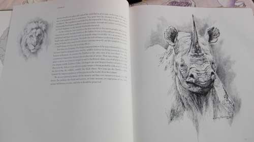 2 Books ZAMBEZI Laurie Watermeyer plus The ZAMBEZI River of the Gods Jan and Fiona Teede - Signed