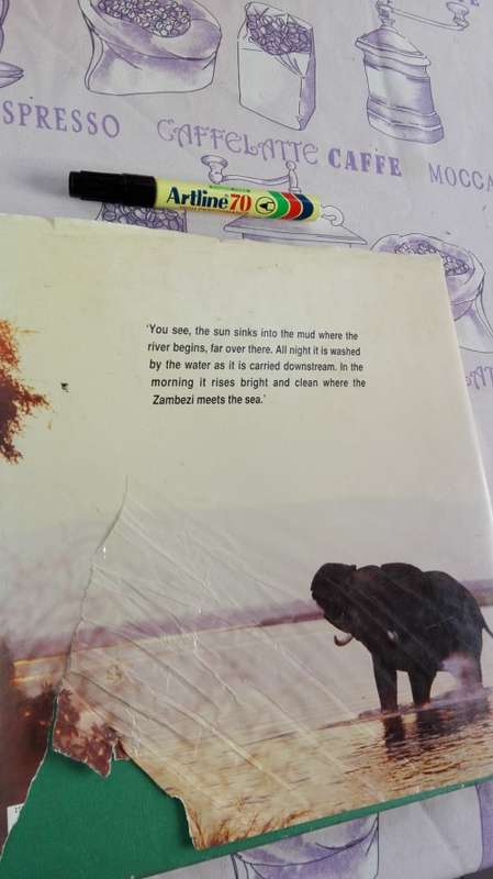 2 Books ZAMBEZI Laurie Watermeyer plus The ZAMBEZI River of the Gods Jan and Fiona Teede - Signed