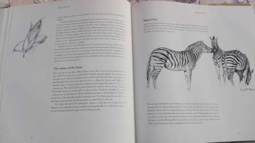 2 Books ZAMBEZI Laurie Watermeyer plus The ZAMBEZI River of the Gods Jan and Fiona Teede - Signed