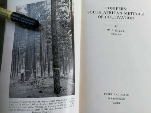 CONIFERS SOUTH AFRICAN METHODS OF CULTIVATION by W E HILEY ( Timber Forestry Farming  )
