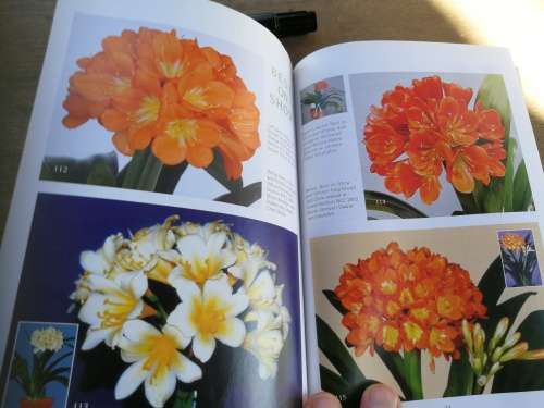 CLIVIA FIVE Edited by Mick Dower Claude Felbert John van der Linde John Winter