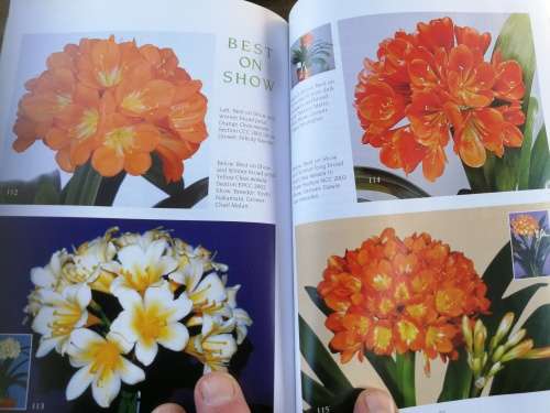 CLIVIA FIVE Edited by Mick Dower Claude Felbert John van der Linde John Winter