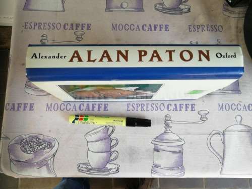 ALAN PATON A BIOGRAPHY PETER F ALEXANDER  ( author of Cry Beloved Country )