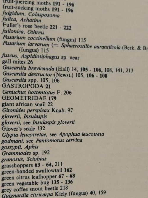 CITRUS PESTS in the REPUBLIC of SOUTH AFRICA E C G BEDFORD Dept of Agriculture ( fruit tree