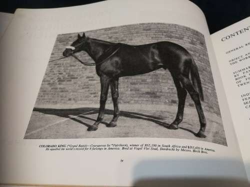SOUTH AFRICAN THOROUGHBRED FAMILIES by EDMUND NELSON Volume 1 1944-45 to 1963 -64 ( Horse Racing  )