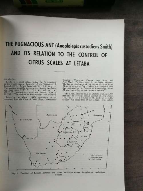 CITRUS PESTS in the REPUBLIC of SOUTH AFRICA E C G BEDFORD Dept of Agriculture ( fruit tree