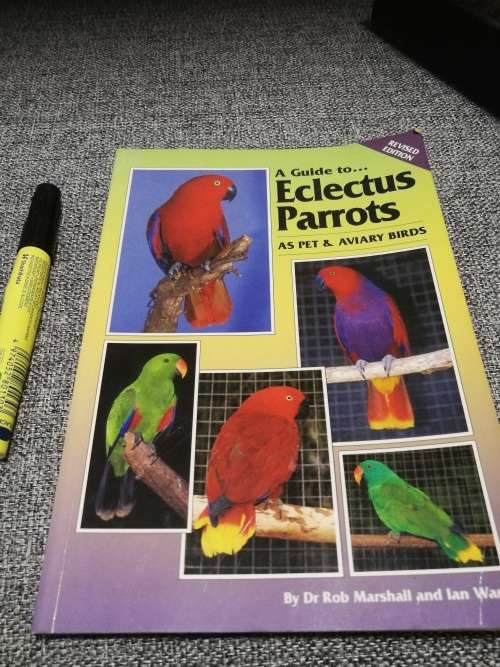 A GUIDE TO ECLECTUS PARROTS  as Pet and Aviary Birds by Dr ROB MARSHALL and IAN WARD