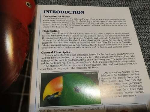A GUIDE TO ECLECTUS PARROTS  as Pet and Aviary Birds by Dr ROB MARSHALL and IAN WARD