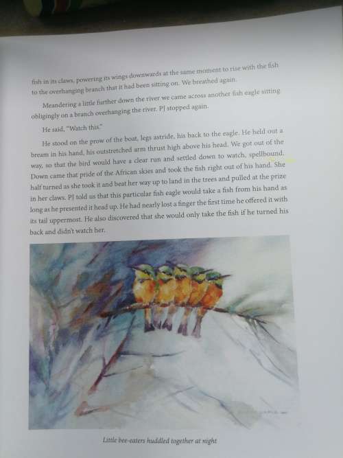 BARBARA SIEDLE BREATHE THE DUST Journey of a Wildlife Artist , Signed with a Gift message